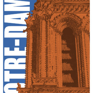 Notre-Dame de Paris – couleurs pop